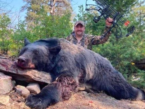Guided Archery Black Bear Hunt